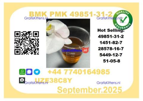 BMK PMK, CAS 49851-31-2 Precision-Sourced for Industry
