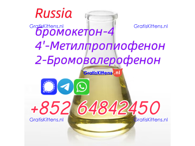 Cas49851-31-2 2-Bromo-1-phenyl-1-pentanone