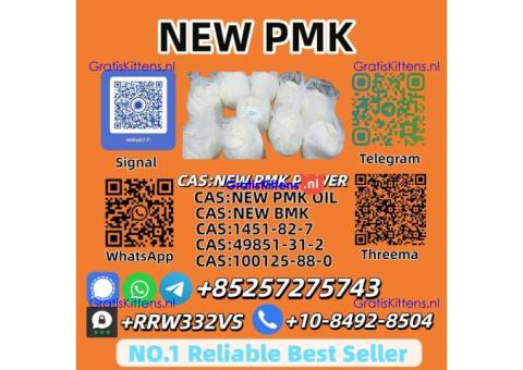 Reliable 28578-16-7 PMK Powder 99% Purity | In Stock