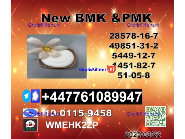 Hot selling 1451-82-7 BK4/2b4m and 49851-31-2 BVF and 51-05-8