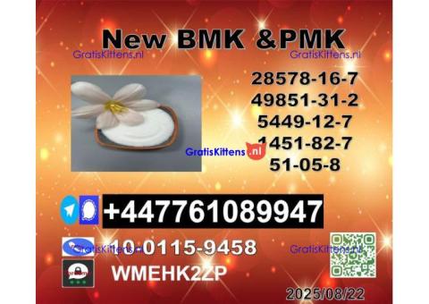Supply 1451-82-7 BK4/2b4m and 49851-31-2 BVF and 51-05-8