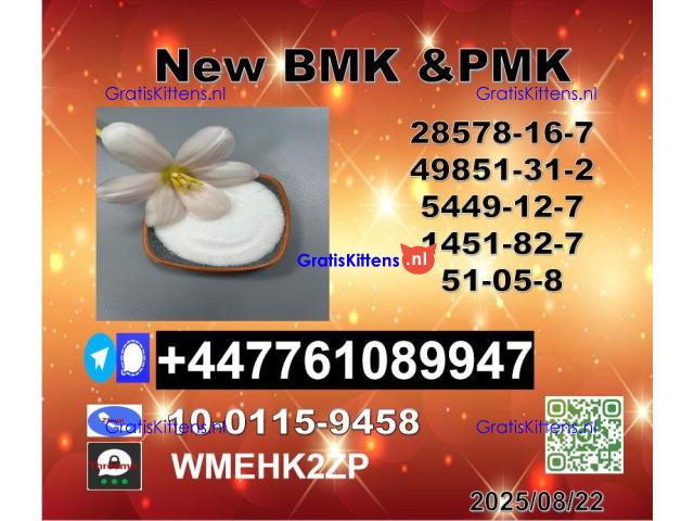 New P.M.K 28578-16-7 B.M.K Powder 5449-12-7 Versatile Oil and Powder