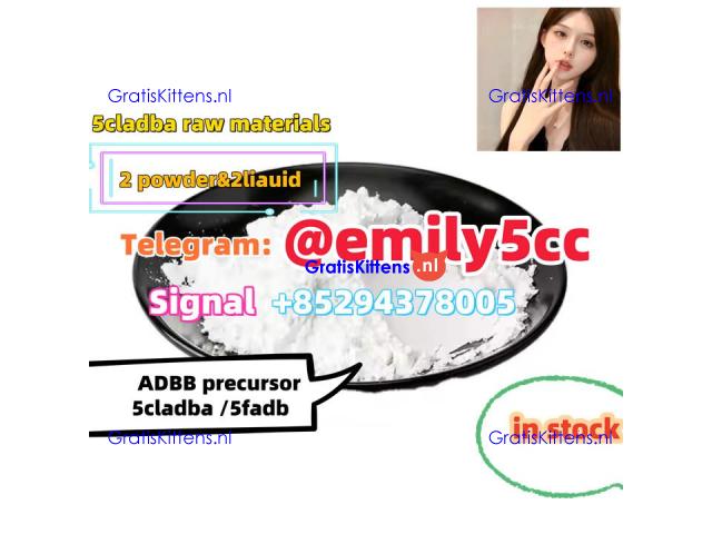 1451-83-8 bk4 1451-82-7 2b4m f5 High qualiyt in stock,