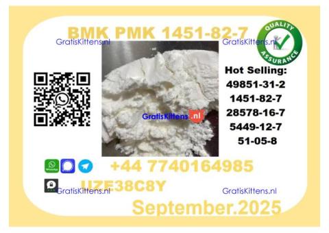 Pharmaceutical BMK PMK,1451-82-7 Chemical raw materials