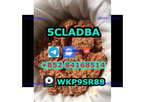 5CLADBA 5CL-ADB-A 5cladb jwh018 synthetic cannabinoids 5f-adb