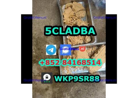 5cladba 5cladb Adbb 5cl-adb-a 5f-adb Jwh018 ADB-BUTINACA