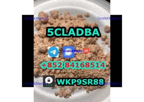 5cladba 5cladb precursor powder raw materials ADBB 5f-adb