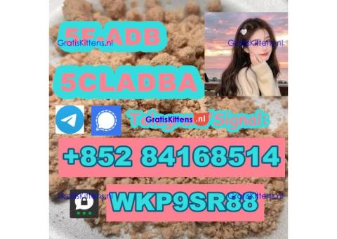 5CLADBA 5f-adb jwh018 old cannabinoids 5cl-adb-a adbb