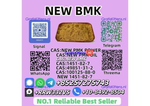 Factory Supply New BMK Power 5449-12-7 Bulk Supply