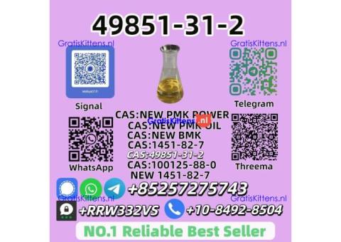 Hot Selling 49851-31-2 Safe Delivery