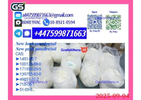 New 100125-88-0（1451-82-7 )  Reliable Supplier
