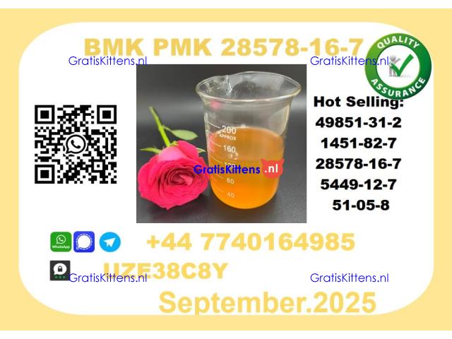 CAS 28578-16-7 BMK PMK Certified Factory Supply