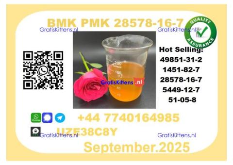 CAS 28578-16-7 BMK PMK Certified Factory Supply
