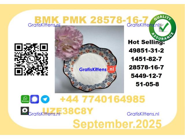 CAS 28578-16-7 BMK PMK Certified Factory Supply