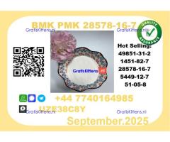 CAS 28578-16-7 BMK PMK Certified Factory Supply