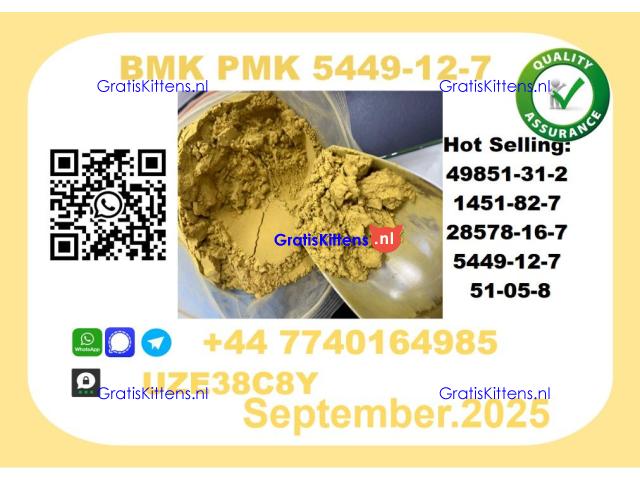 The BMK PMK, CAS 5449-12-7 toppest Factory Supplier
