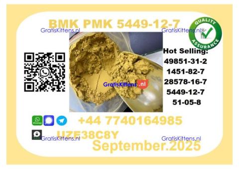 The BMK PMK, CAS 5449-12-7 toppest Factory Supplier