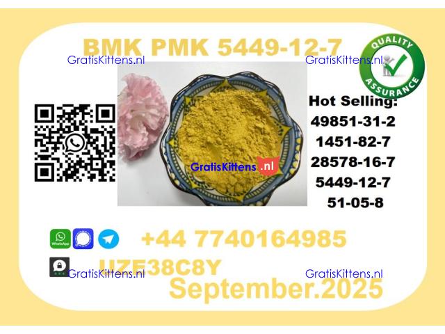 The BMK PMK, CAS 5449-12-7 toppest Factory Supplier
