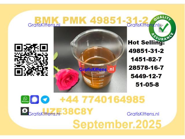 The BMK PMK Oil，CAS 49851-31-2 toppest Factory Supply