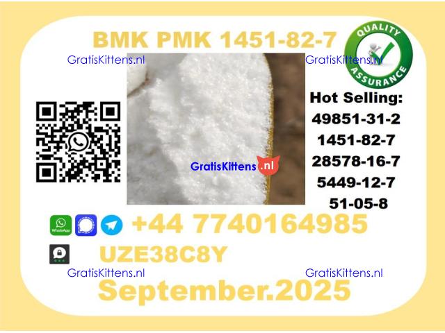 Pharmaceutical BMK PMK,1451-82-7 Chemical raw materials