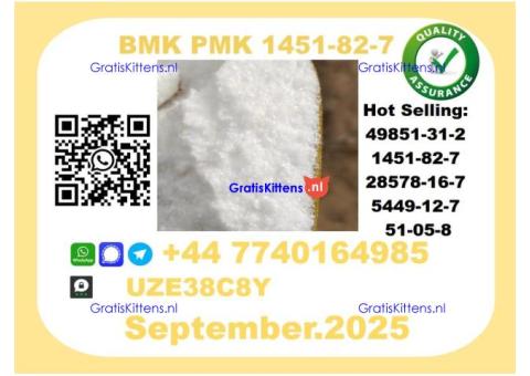 Pharmaceutical BMK PMK,1451-82-7 Chemical raw materials