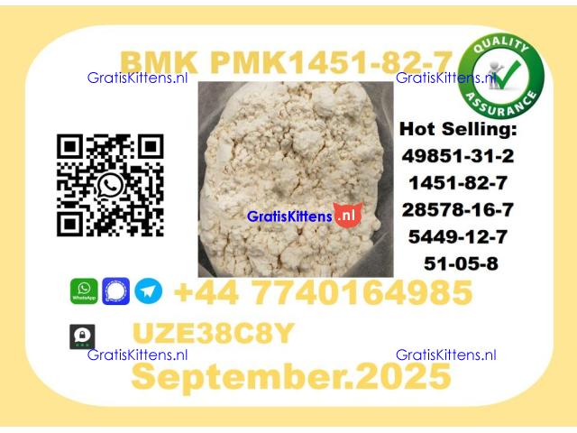 Pharmaceutical BMK PMK,1451-82-7 Chemical raw materials