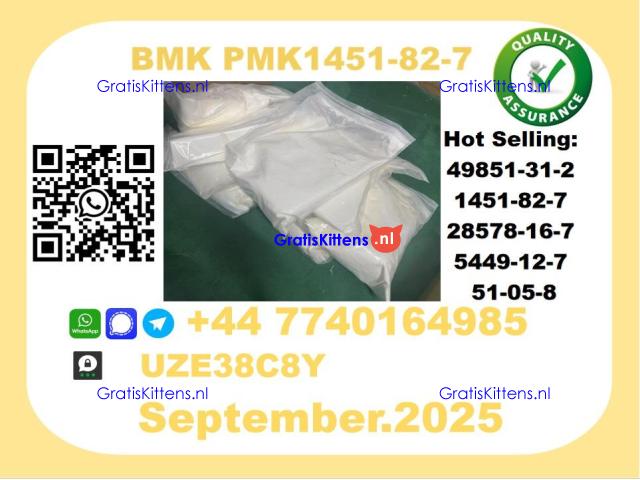 Pharmaceutical BMK PMK,1451-82-7 Chemical raw materials