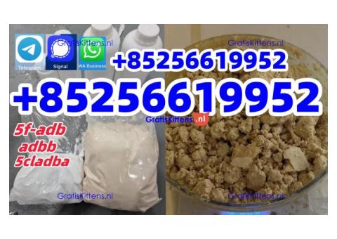Hot Selling 5cladba, 5cladb, 5cl, 5cl-adb, 5cl-adb-a, Adbb Raw Materials