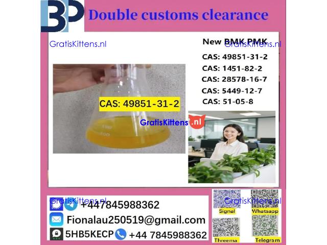 cas49851-31-2 B M K P M K Chemical raw materials