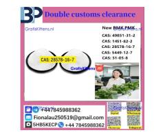 CAS: 28578-16-7 P M K ethyl glycidate Oil/Powder High Purity Safe Delivery