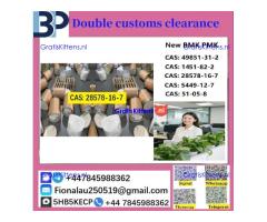 CAS: 28578-16-7 P M K ethyl glycidate Oil/Powder High Purity Safe Delivery