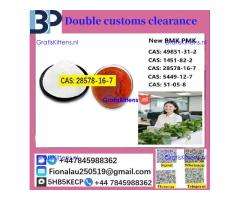 28578-16-7 P M K ethyl glycidate Oil/Powder High Purity Source Factory Safe Delivery