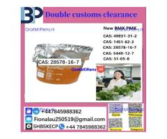 28578-16-7 P M K ethyl glycidate Oil/Powder High Purity Source Factory Safe Delivery