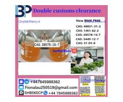 28578-16-7 P M K ethyl glycidate Oil/Powder High Purity Source Factory Safe Delivery