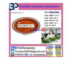 28578-16-7 P M K ethyl glycidate Oil/Powder High Purity Source Factory Safe Delivery