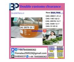 CAS: 28578-16-7 P M K ethyl glycidate Oil/Powder High Purity Source Factory Safe Delivery