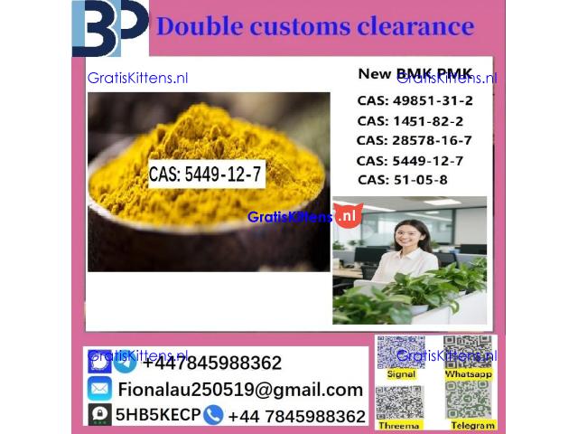 B M K Glycidic Acid (sodium salt) CAS 5449-12-7