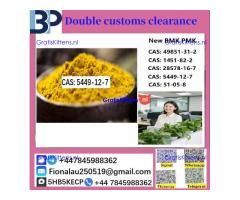 B M K Glycidic Acid (sodium salt) CAS 5449-12-7