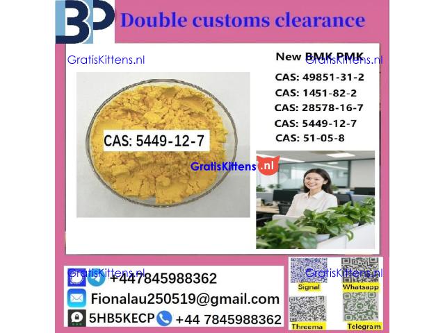 B M K Glycidic Acid (sodium salt) 5449-12-7