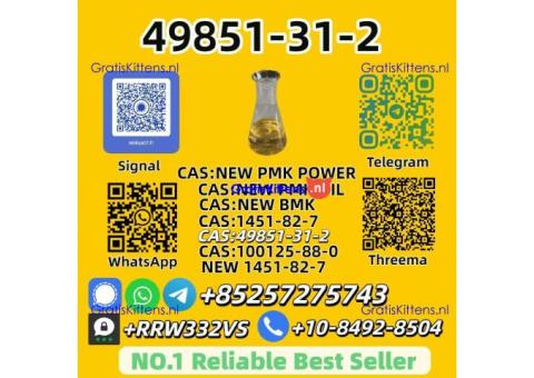 Hot Sale 49851-31-7 Reliable Supplier