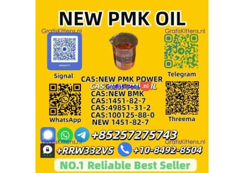 Trusted PMK Oil Supplier 28578-16-7 Fast Shipping