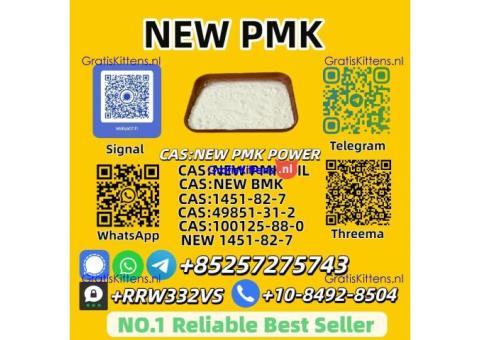 New PMK Powder 28578-16-7 Bulk Supplier Trusted Source