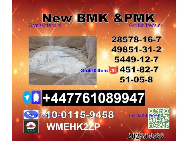Stable quality 49851-31-2 B.V.F and 1451-82-7 B-K4/2b4m and 51-05-8 P-rocaine