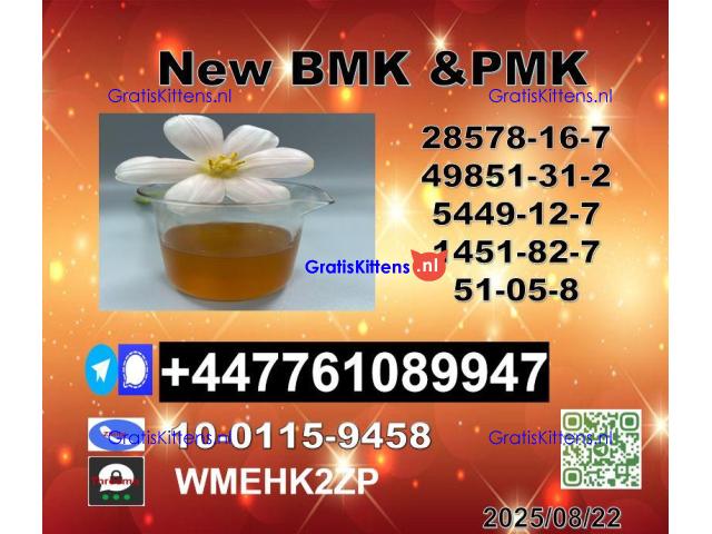 Stable quality 49851-31-2 B.V.F and 1451-82-7 B-K4/2b4m and 51-05-8 P-rocaine