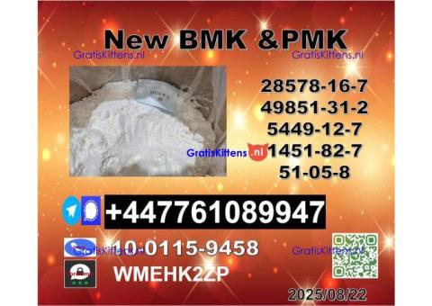 Factory Supply 49851-31-2 B.V.F and 1451-82-7 B-K4/2b4m and P.M.K 28578-16-7