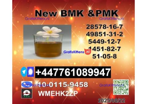 49851-31-2 B.V.F and 1451-82-7 B-K4/2b4m and 51-05-8 P-rocaine