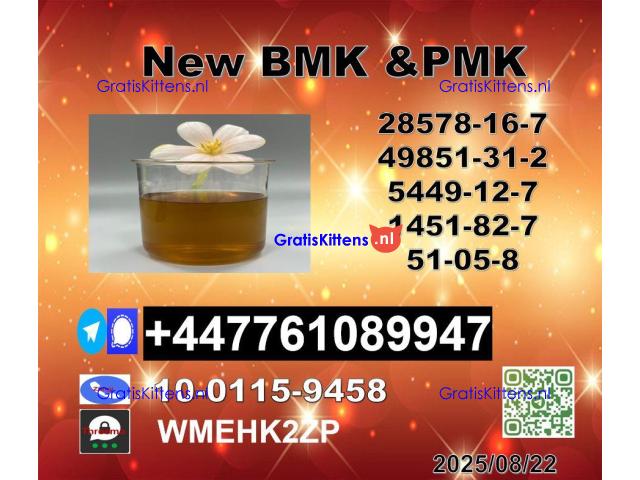 Global supply 1451-82-7 BK4/2b4m and 49851-31-2 BVF and 51-05-8