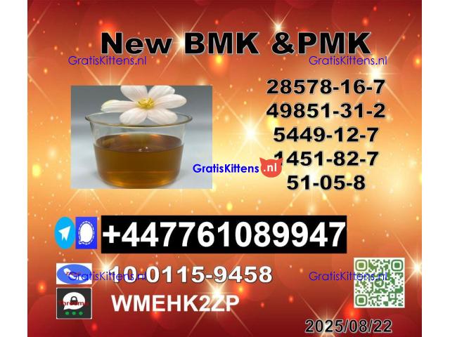 Factory Supply 1451-82-7 BK4/2b4m and 49851-31-2 BVF and 51-05-8