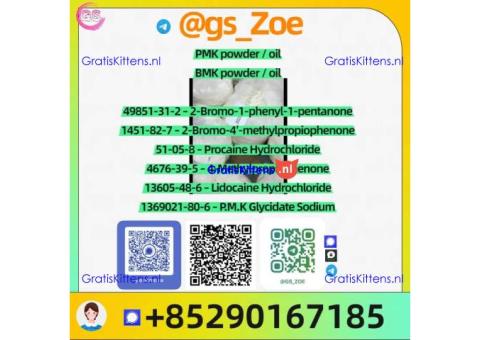 Buy Direct from Factory: New P M K C A S 28578-16-7 & B M K C A S 5449-12-7