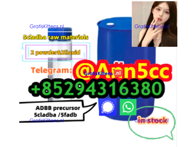 BDO Liquid 1,4-Butanediol CAS 110-63-4 1 4 BDO,110-64-5,